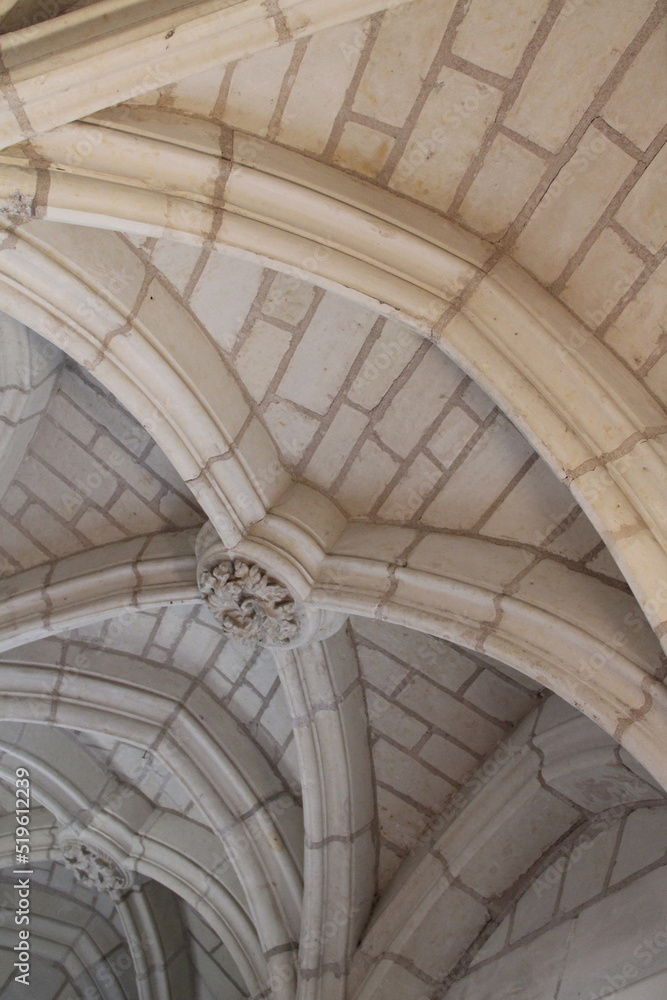 gothic castle in saumur (france)