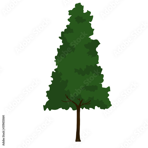 green pine tree isolated on a white background. graphic tree. design element for the design of parks, forest. detail for game design. hand drawn of tree in architect style.