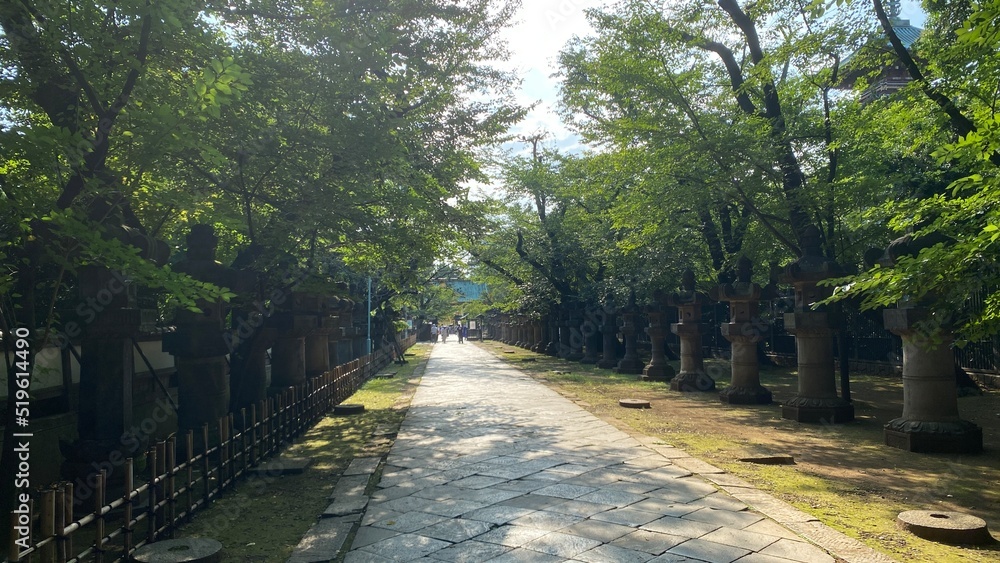 Stone ground path to the palace of Japanese shrine “Ueno Toshogu” built in year 1627, shot taken on year 2022 July 23rd, Tokyo Japan