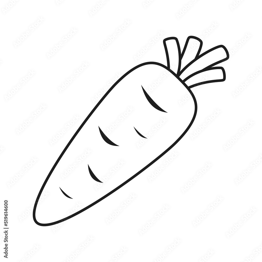 Carrot isolated on white background. Vector illustration Carrot isolated on white background. Vector illustration