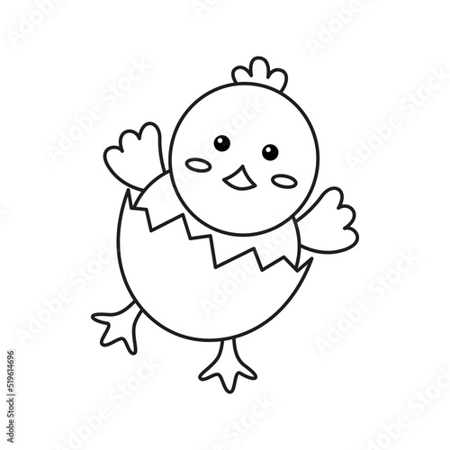 Chick isolated on white background. Vector illustration