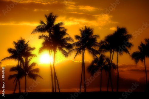 Dreamy Misty Palm Trees Sunset Near Ocean Beach Tropical Location Full Moon