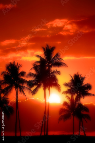 Dreamy Misty Palm Trees Sunset Near Ocean Beach Tropical Location Full Moon © Lane Erickson