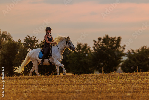 A beautiful rider on a white stallion gallops across a field before sunset © michal