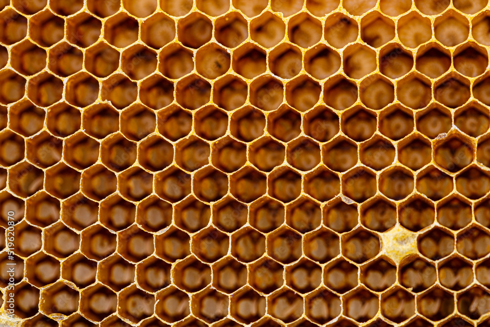 Background texture of honeycomb Background texture of honeycomb