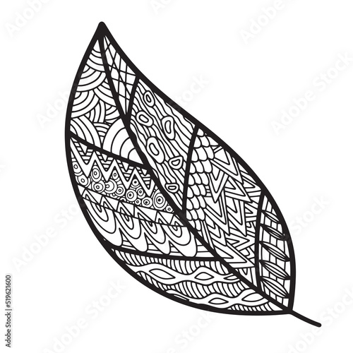 Vector zen tangle and doodle leaf. Nature coloring book. Black and white zentangle. Doodle handdrawn illustration photo