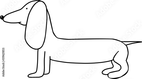 dachshund line art, dog illustration on white background