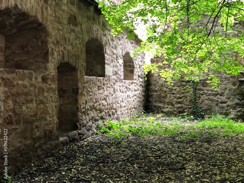 Fototapeta Naklejka Na Ścianę i Meble -  Castle ruins with secret garden -Burgruine mit geheimen Garten