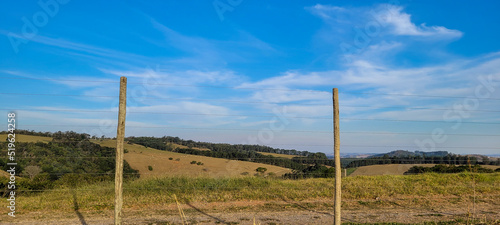 rural nature landscape in the interior of Brazil in a eucalyptus farm in the middle of nature