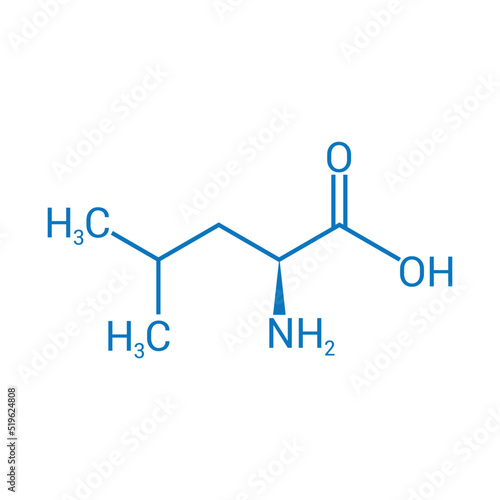 chemical structure of Leucine (C6H13NO2)