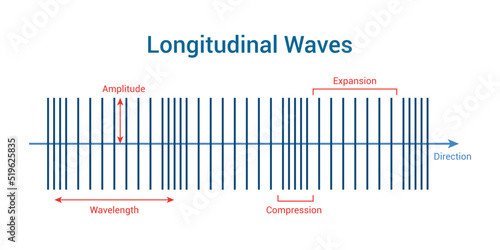 longitudinal waves. Vector illustration isolated on white background.