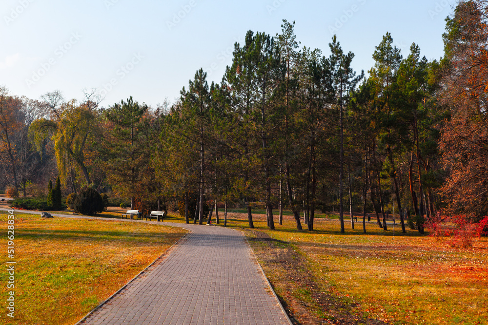 Sidewalk in autumn park . Walking path in the city park
