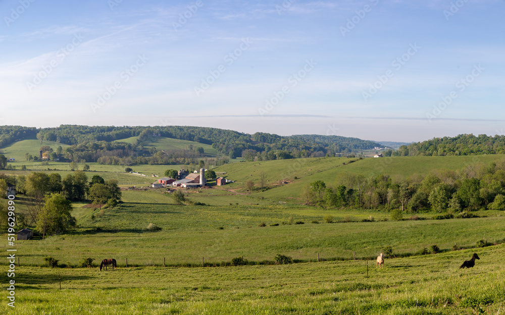 Amish farm in a lush green valley in the countryside of Holmes County, Ohio, with horses grazing in a pasture