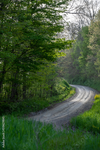 Winding gravel road through the lush green woods in the country