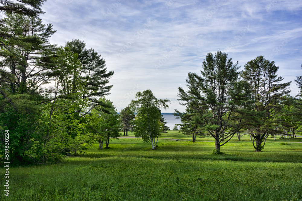 View of the trees and lawn of a state park in Maine