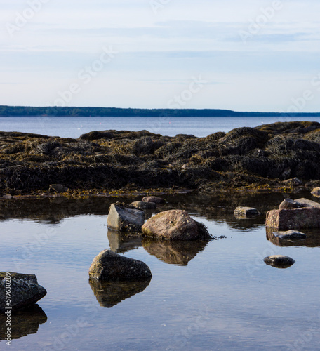 View of a shallow tidal pool in the foreground with Penobscot Bay in the background photo