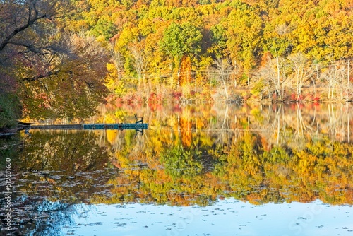 Adirondack chair with a view of bright autumn colors of Weir Hill rests at the end of a dock jutting into Steven’s pond photo