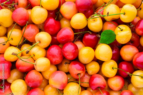 many yellow and pink cherries - food background