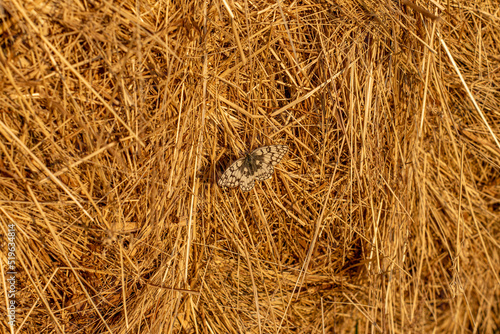 straw bale background