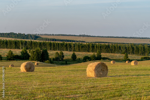 bales of hay