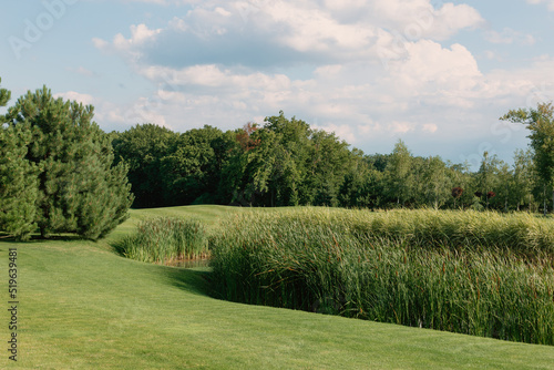 Beautiful sunny summer landscape with a green golf course 