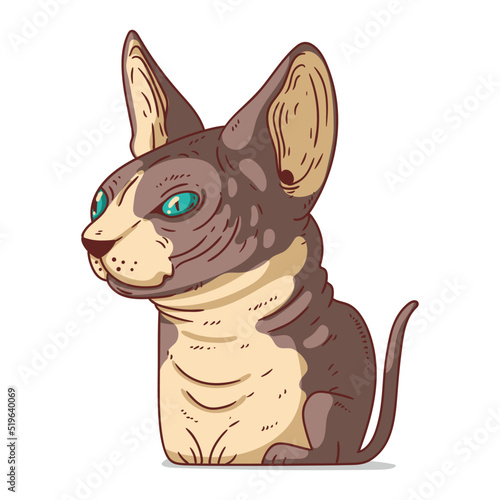 A Sphinx Cat, isolated vector illustration. Cute cartoon picture for children of a serene domestic cat sitting. Drawn cat sticker. Simple drawing of a hairless cat on white background. A kitten.