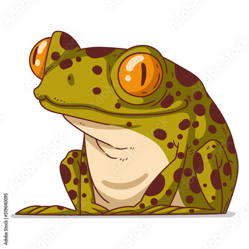 A Frog, isolated vector illustration. Cute cartoon picture for children of a froglet sitting. A funny frog sticker. Simple drawing of a smiling toad on white background. An amphibian. © Kyyybic