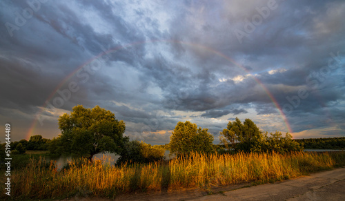 Rainbow against a dramatic sky. Picturesque rural landscape. The trees in the foreground are illuminated by the rays of the setting sun.