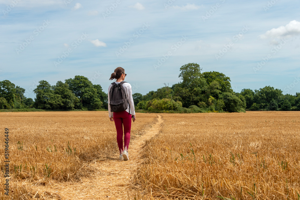 Woman walking through the countryside, harvested field. Woman walking through the countryside, harvested field.