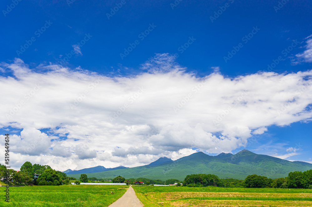 農道に走る真っすぐな道と八ヶ岳 農道に走る真っすぐな道と八ヶ岳