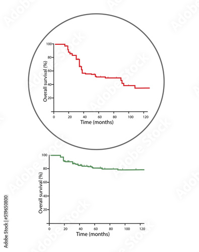 medical graph of overall survival photo