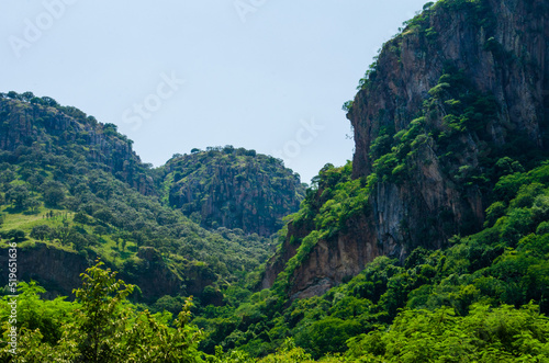 Paisaje verde en Huilotan rumbo a san Cristobal de la Barranca Jalisco