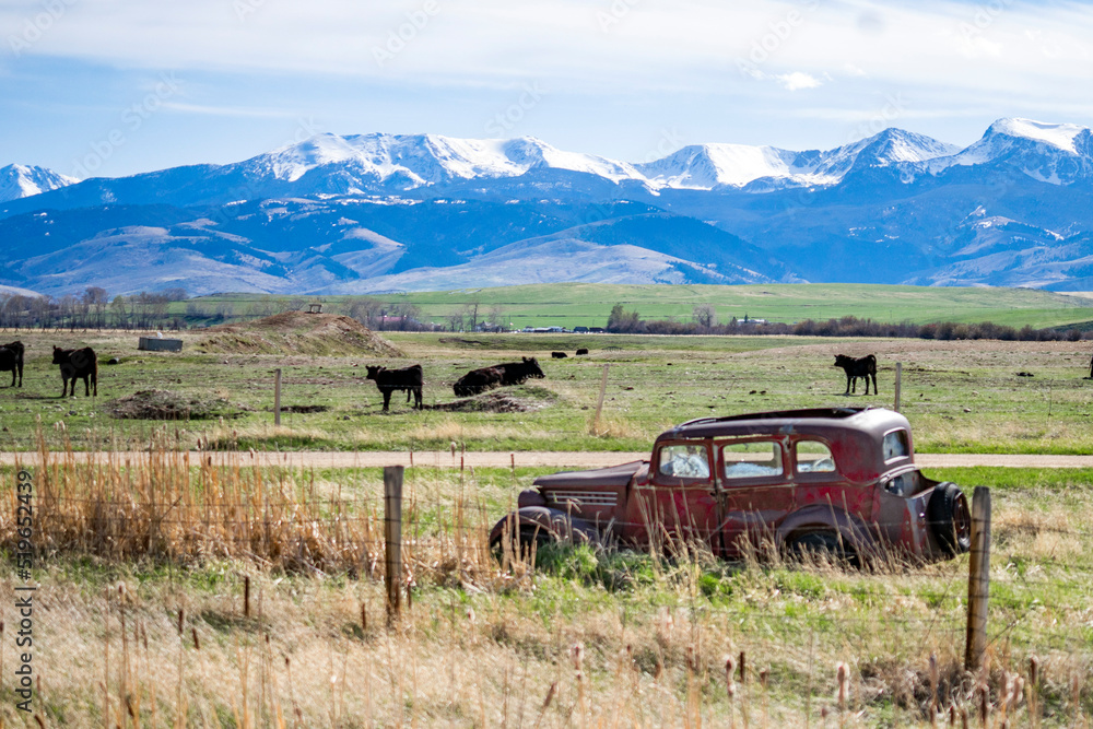 Naklejka premium Montana mountains.