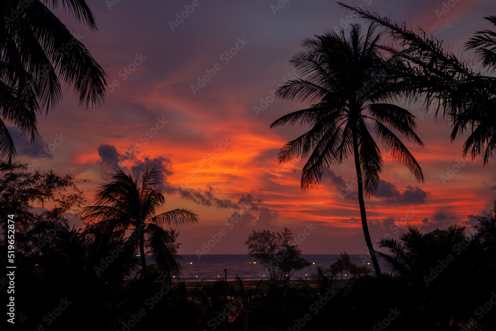 Tropikalny zachód słońca pod palmami w Tajlandii. Egzotyczne krajobrazy i dzika roślinność. 
