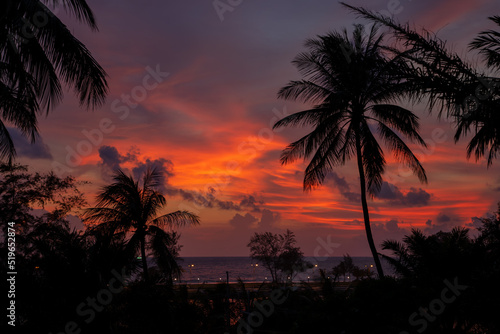Tropikalny zachód słońca pod palmami w Tajlandii. Egzotyczne krajobrazy i dzika roślinność. 