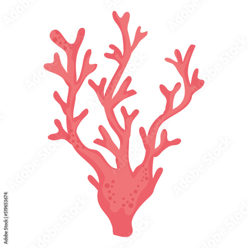 red seaweed sealife