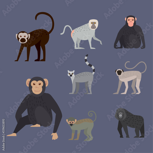 eight monkeys wildlife animals