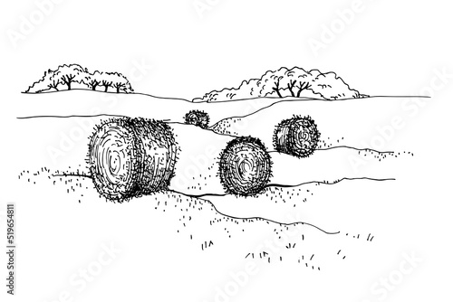 Rural landscape with Hay rolls or hayricks. Straw. Dry wheat grass rolls. Hay bales on agriculture farm field. Farmland. Line art  Sketch Vector illustration of countryside. 