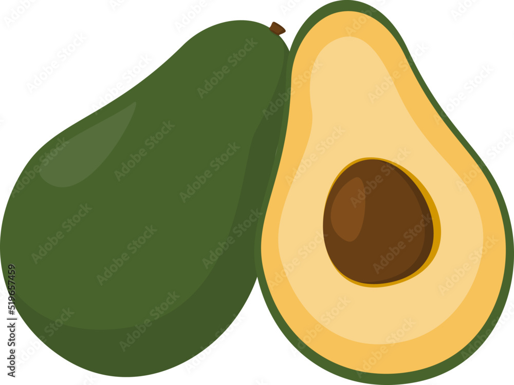 Whole and halved avacado, cartoon style, vector illustration isolated on white background