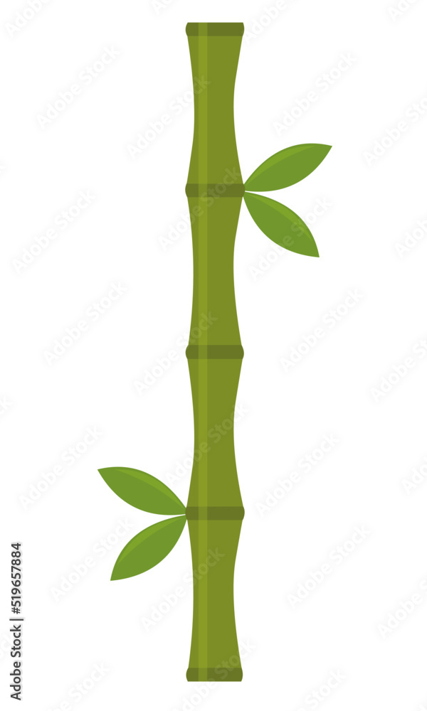 Fototapeta premium Vector illustration of a bamboo plant