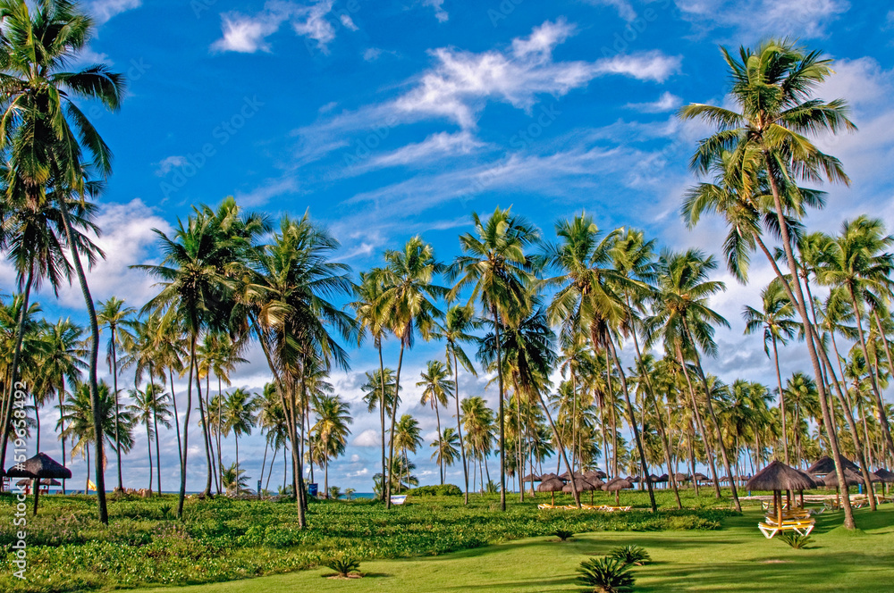 Beach and coconuts trees at Sauipe Coast, on the northern coast of the state of Bahia. The entire area is filled with hotels and resorts , which form the largest tourist complex in Brazil. August 2018