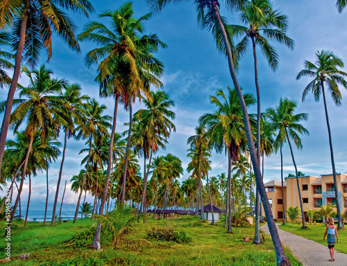 Beach and coconuts trees at Sauipe Coast, on the northern coast of the state of Bahia. The entire area is filled with hotels and resorts , which form the largest tourist complex in Brazil. August 2018 © Wagner