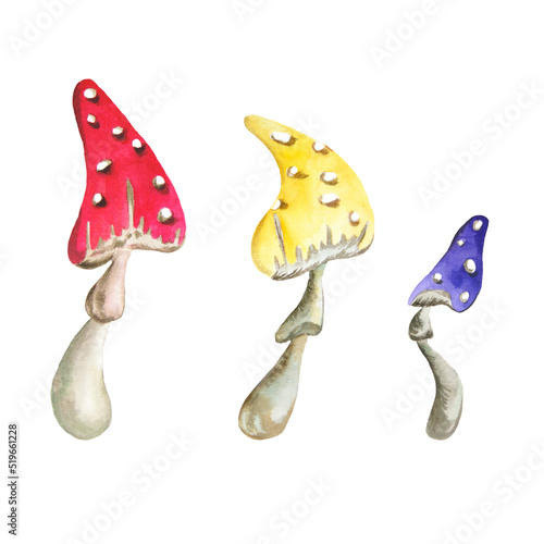 A composition of cheerful, bright, colored fly agarics. White isolated background. The illustration is raster. Composition of cornflowers. 