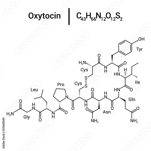 chemical structure of Oxytocin (C43H66N12O12S2) photo