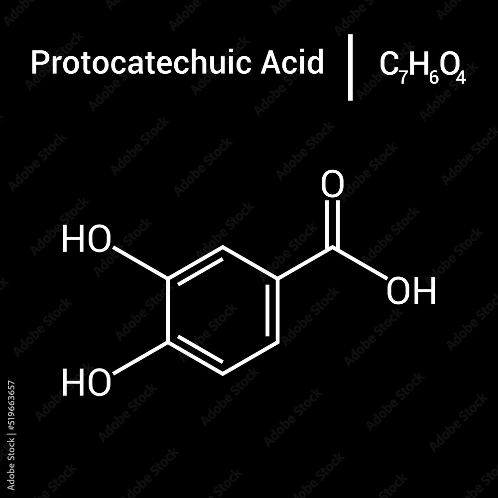 Fototapeta premium chemical structure of Protocatechuic acid (C7H6O4)