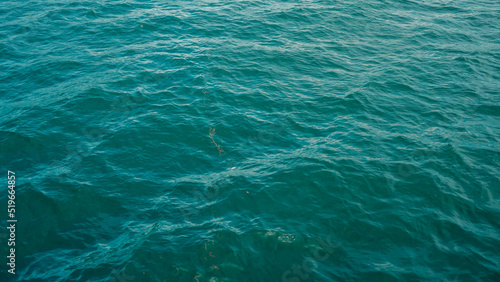 water in the sea © AYWA
