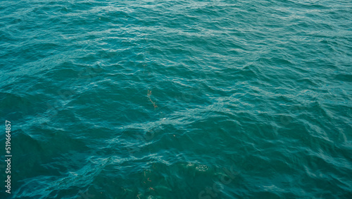 water in the sea