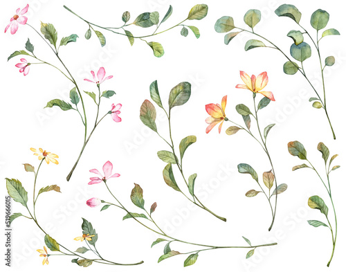 Big set with watercolor botanical illustrations isolated on white background. Hand painted pink and yellow flowers and withered leaves