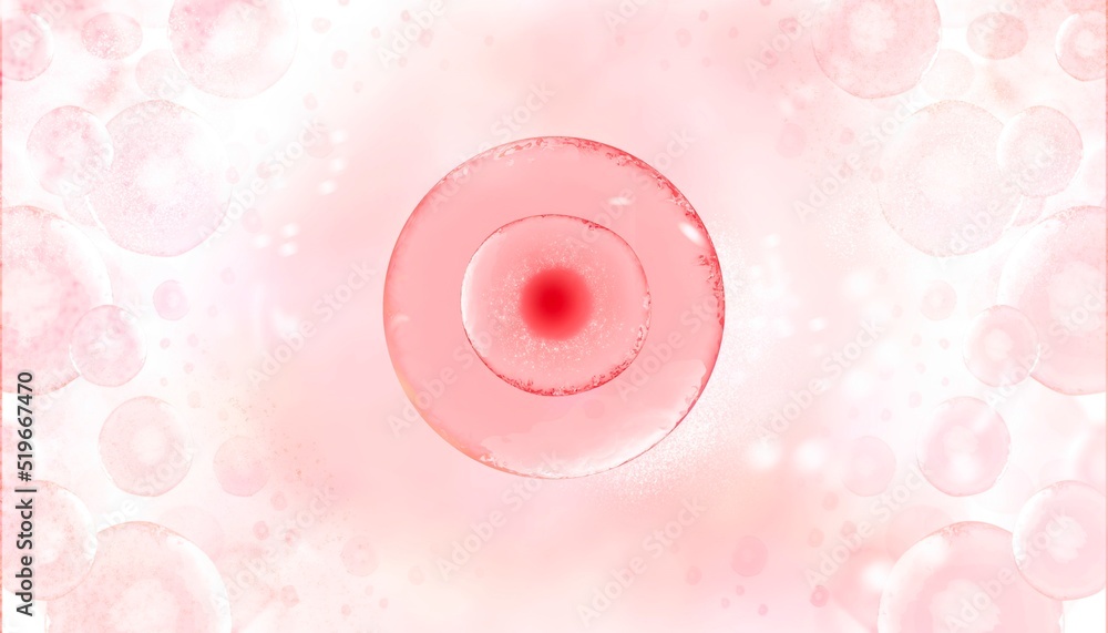 High resolution medical banner with woman egg cell Center. Banner for hospital. High technologies in reproductive medicine. 3d illustration of in vitro fertilization under a microscope. Beautiful High resolution medical banner with woman egg cell Center. Banner for hospital. High technologies in reproductive medicine. 3d illustration of in vitro fertilization under a microscope. Beautiful