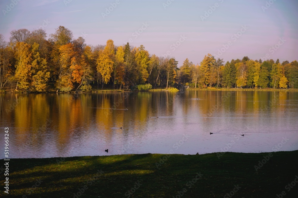 lake in autumn lake in autumn